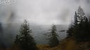 ./images/quadra/bluff/20200923/bluff20200923_115500M.jpg