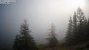 ./images/quadra/bluff/20201002/bluff20201002_101500M.jpg