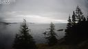 ./images/quadra/bluff/20201122/bluff20201122_123500M.jpg