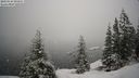 ./images/quadra/bluff/20210124/bluff20210124_100000M.jpg