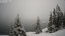 ./images/quadra/bluff/20210124/bluff20210124_100500M.jpg