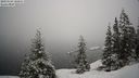 ./images/quadra/bluff/20210124/bluff20210124_101000M.jpg