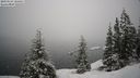 ./images/quadra/bluff/20210124/bluff20210124_101500M.jpg