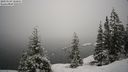 ./images/quadra/bluff/20210124/bluff20210124_102500M.jpg