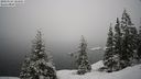./images/quadra/bluff/20210124/bluff20210124_103500M.jpg