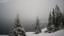./images/quadra/bluff/20210124/bluff20210124_104000M.jpg