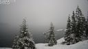 ./images/quadra/bluff/20210124/bluff20210124_104500M.jpg
