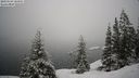 ./images/quadra/bluff/20210124/bluff20210124_105000M.jpg