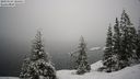 ./images/quadra/bluff/20210124/bluff20210124_105500M.jpg