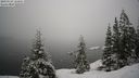 ./images/quadra/bluff/20210124/bluff20210124_110500M.jpg