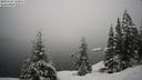 ./images/quadra/bluff/20210124/bluff20210124_111000M.jpg