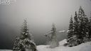 ./images/quadra/bluff/20210124/bluff20210124_112500M.jpg