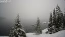 ./images/quadra/bluff/20210124/bluff20210124_114001M.jpg