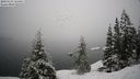 ./images/quadra/bluff/20210124/bluff20210124_114501M.jpg