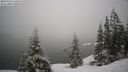 ./images/quadra/bluff/20210124/bluff20210124_115001M.jpg