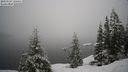 ./images/quadra/bluff/20210124/bluff20210124_115500M.jpg