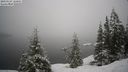 ./images/quadra/bluff/20210124/bluff20210124_120500M.jpg