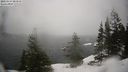 ./images/quadra/bluff/20210214/bluff20210214_082000M.jpg