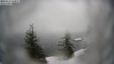./images/quadra/bluff/20210214/bluff20210214_112000M.jpg