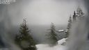 ./images/quadra/bluff/20210214/bluff20210214_112500M.jpg