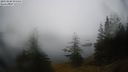 ./images/quadra/bluff/20210228/bluff20210228_095500M.jpg