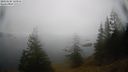 ./images/quadra/bluff/20210228/bluff20210228_101000M.jpg