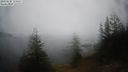 ./images/quadra/bluff/20210228/bluff20210228_111500M.jpg