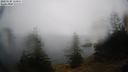 ./images/quadra/bluff/20210228/bluff20210228_114000M.jpg