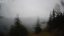 ./images/quadra/bluff/20210228/bluff20210228_120500M.jpg
