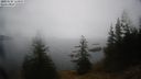 ./images/quadra/bluff/20210228/bluff20210228_124000M.jpg