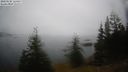 ./images/quadra/bluff/20210228/bluff20210228_124500M.jpg