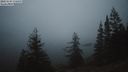./images/quadra/bluff/20211114/bluff20211114_171500M.jpg
