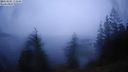 ./images/quadra/bluff/20220203/bluff20220203_172500M.jpg