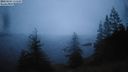 ./images/quadra/bluff/20220203/bluff20220203_174500M.jpg