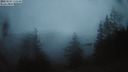 ./images/quadra/bluff/20220203/bluff20220203_175000M.jpg