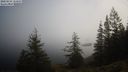 ./images/quadra/bluff/20220213/bluff20220213_113500M.jpg