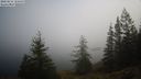 ./images/quadra/bluff/20220213/bluff20220213_121500M.jpg