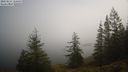 ./images/quadra/bluff/20220213/bluff20220213_122500M.jpg