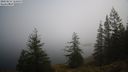 ./images/quadra/bluff/20220213/bluff20220213_123500M.jpg