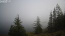 ./images/quadra/bluff/20220213/bluff20220213_124000M.jpg