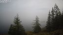 ./images/quadra/bluff/20220213/bluff20220213_125500M.jpg