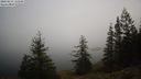 ./images/quadra/bluff/20220213/bluff20220213_131500M.jpg