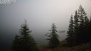 ./images/quadra/bluff/20221115/bluff20221115_100000M.jpg