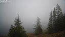 ./images/quadra/bluff/20221115/bluff20221115_140000M.jpg