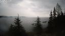 ./images/quadra/bluff/20231130/bluff20231130_085001M.jpg