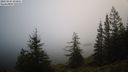./images/quadra/bluff/20231205/bluff20231205_092502M.jpg