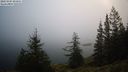 ./images/quadra/bluff/20231205/bluff20231205_093001M.jpg