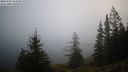 ./images/quadra/bluff/20231205/bluff20231205_093501M.jpg
