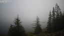 ./images/quadra/bluff/20231205/bluff20231205_094001M.jpg