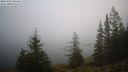 ./images/quadra/bluff/20231205/bluff20231205_094501M.jpg